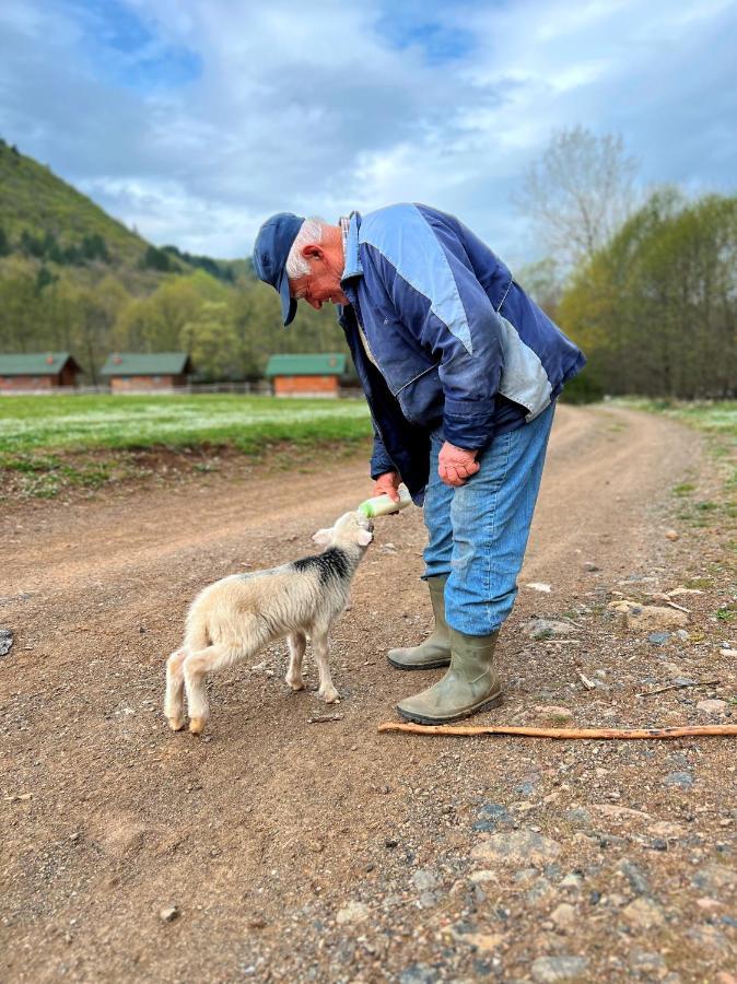 Gasthof Farma Sotira Leskovik