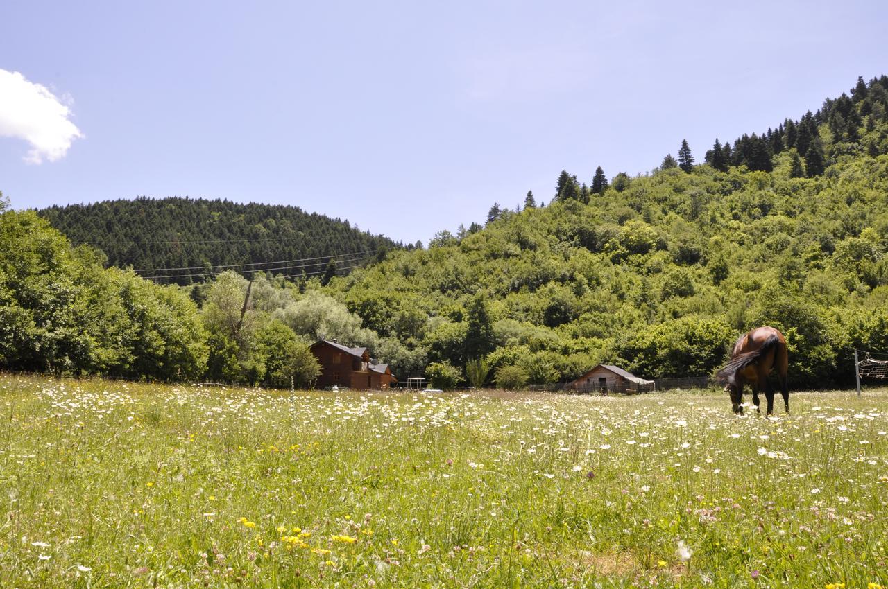 Farma Sotira * Leskovik