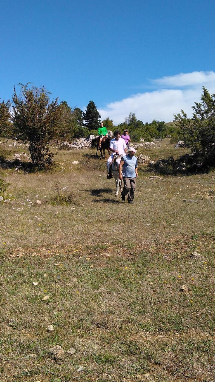 Farma Sotira * Leskovik