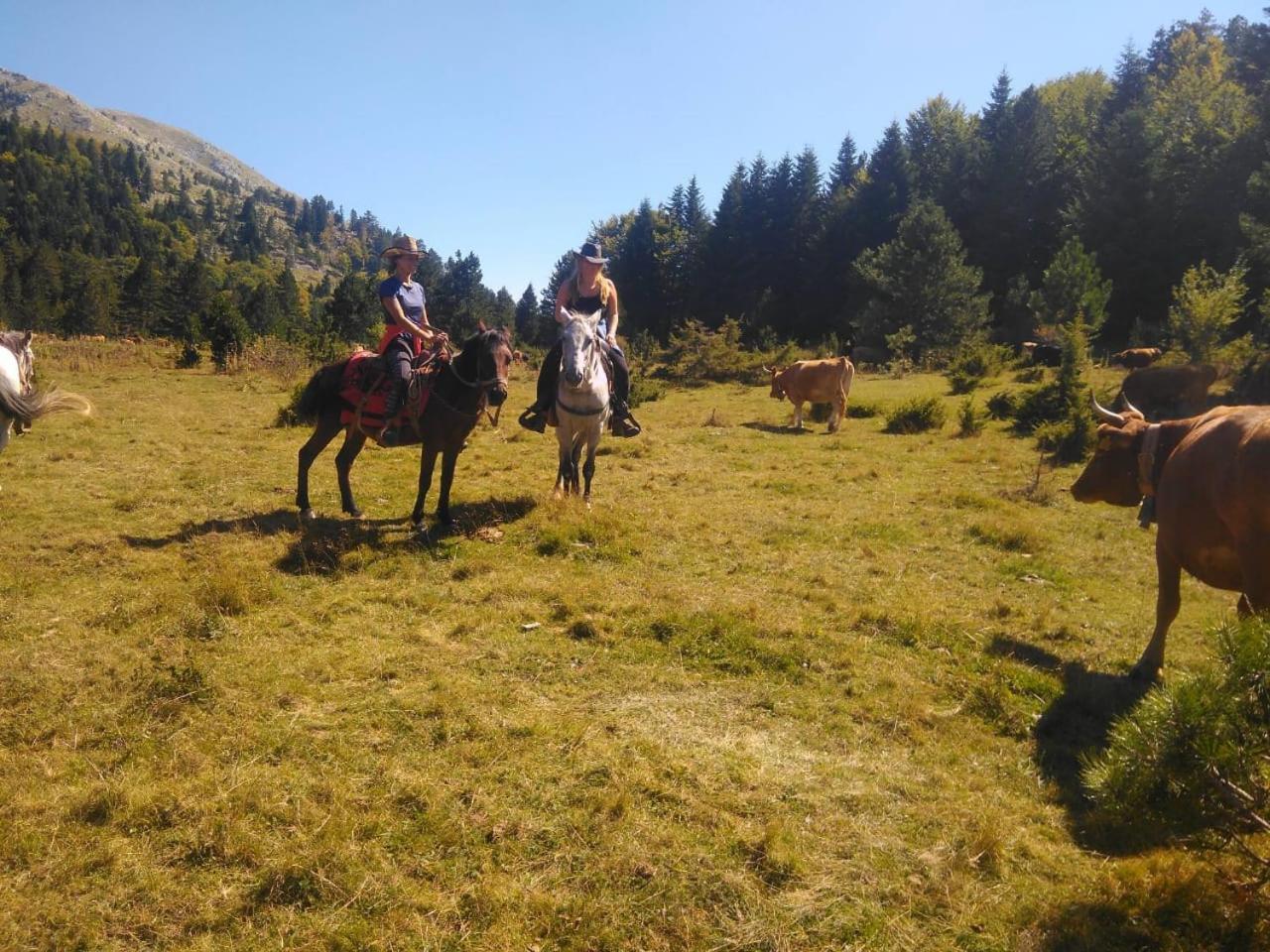 Gasthof Farma Sotira Leskovik